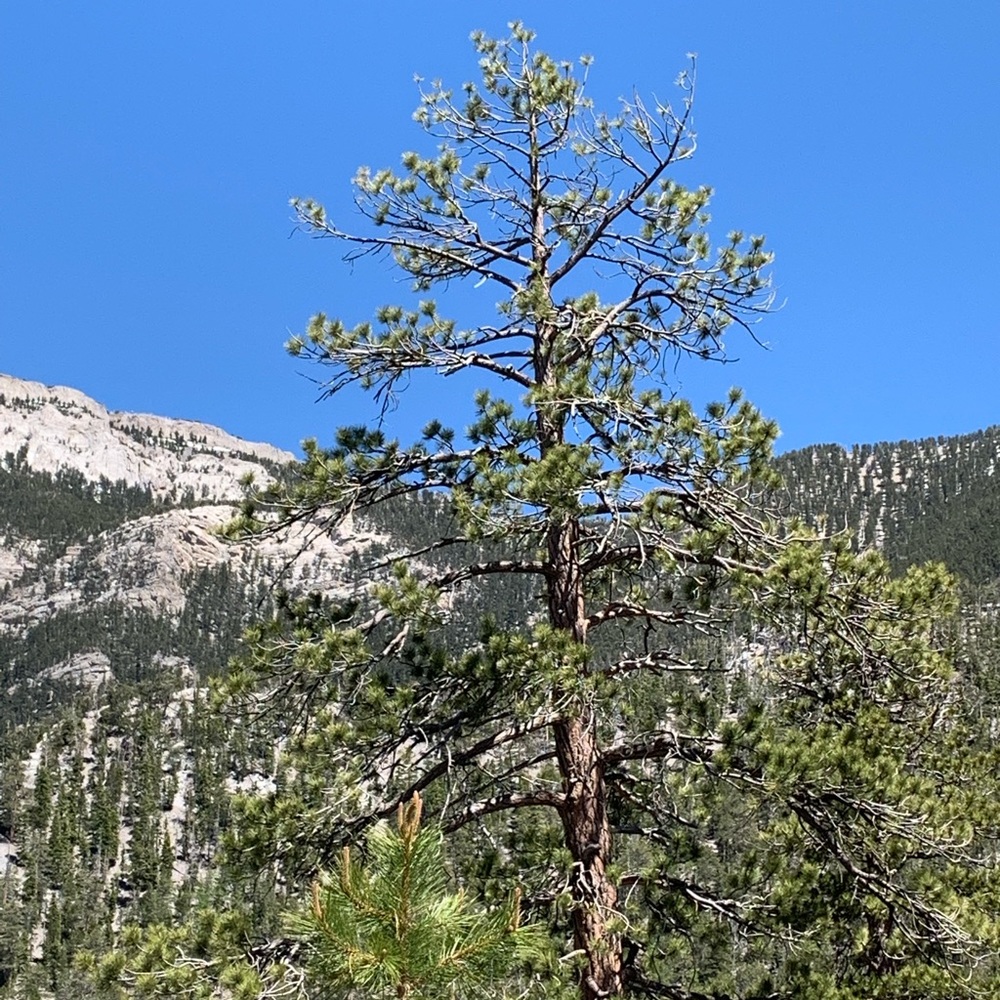 Meet your Posher, K.L.T